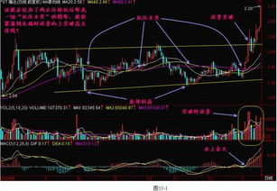 关于股票术语:吸纳,入货,跟进等什么意思