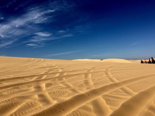 越南邂逅沙子打得如筛子的地方 白沙丘 