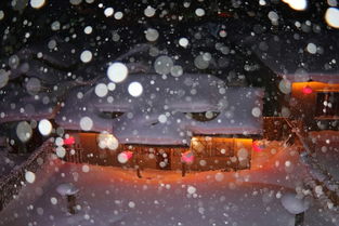 误入零下20度的世外雪园 东北雪乡 