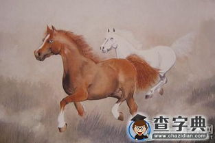 杨清华 丙申猴年属马的运程