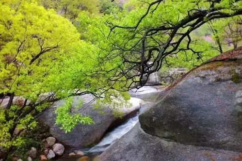 洛阳嵩县绝美避暑地,自带空调人少独家,过个凉快夏季快来