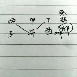 丙子年 甲午月 丁酉日 癸卯时 五行缺什么 