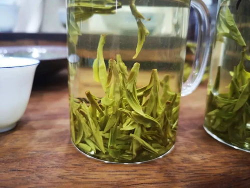 高端红茶 绿茶为什么比较 淡