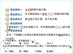 什么是正数和负数？