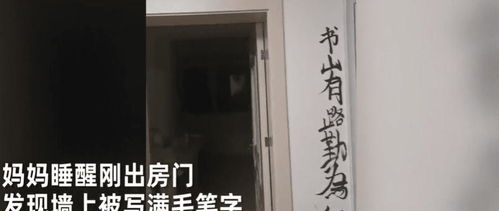 山东一男孩在家练毛笔字, 糟蹋 一屋白墙,不忘写 免责声明