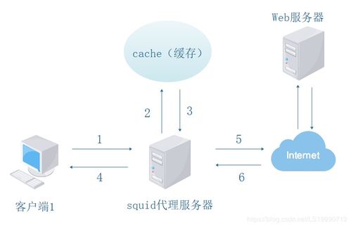 香港代理服务器ip