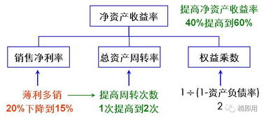 杜邦财务分析体系以（ ）指标为核心，综合反映了企业盈利能力、营运能力和偿债能力及其关系。