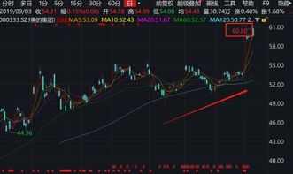 格力电器股票:15年7月2日60元，7月3日开盘25元，网友解释说，经过了除权10股送10股，总之