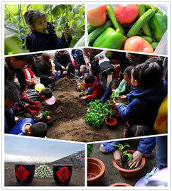 冬天带孩子去温室大棚摘蔬菜,亲手种一颗盆栽蔬菜回家养