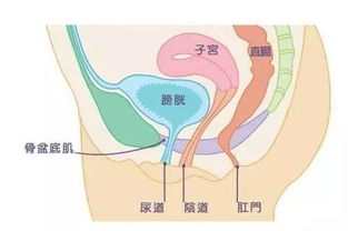 怎样提高性能力不再早泄 吃什么 做什么运动 l 敢问敢答