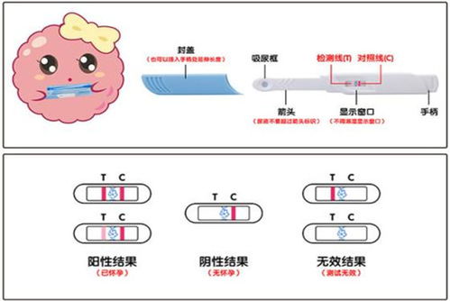 第一次使用验孕棒求解 验孕棒一深一浅图解