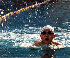 首届全民健身游泳对抗赛在银川举行 