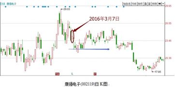 股份制公司的占股比例