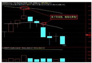 线上阴线买 线下阳线卖 的意思？