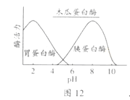 酶活力和比活力在纯化过程中分别反映什么