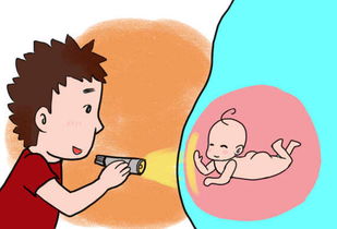 原创不会胎教的孕妈妈看这里，5个胎教方法让你的宝宝将来更聪明