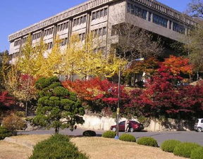 韩国首尔市江南区最好的大学是哪个 