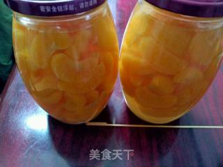 橘子罐头的做法 橘子罐头怎么做 cn1127xy的菜谱 