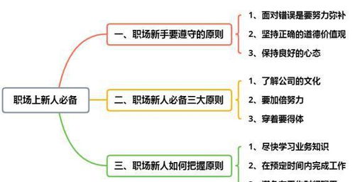 职场新人必备的三个原则,尽快融入团队,适应职场生活才是真理