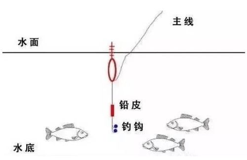 一分钟现学现用,手把手教你野外钓鱼最简单的调漂方法