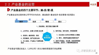 依据基金法律形式，我国目前设立的基金为 什么基金