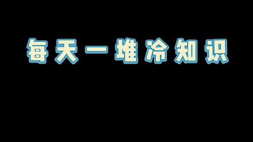 没用的冷知识以及解释(没有用的冷知识)(无用但有趣的冷知识)