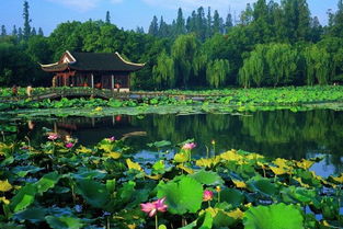 西湖十景是哪十景,杭州西湖十景，白蛇传和济公游记都来自于这十景之一