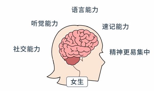 男女思维的差异在哪里 深入了解各自的 脑回路 ,成为沟通高手