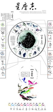 中国风星座信息图表