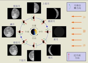 满月 天文现象 搜狗百科 