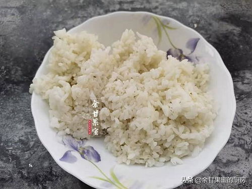 剩米饭冷冻保存多久