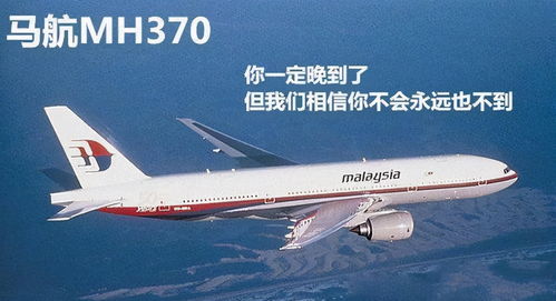 MH370机上有29名芯片专家,飞机失联是被人绑架了,这是真的吗