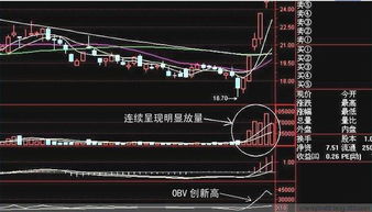 股票低位涨停版下个交易日低位放量下跌