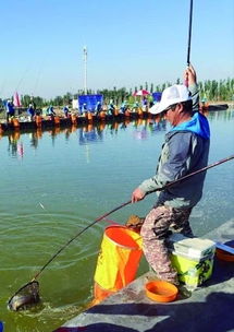 全国钓鱼高手约战乌海湖 300多人参与钓鱼竞技