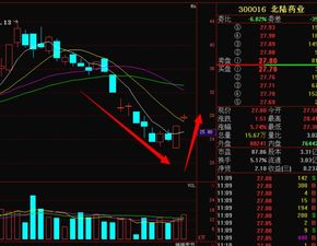 北京北陆药业股份有限公司在私企中实力怎么样？股票行情如何？公司未来发展会好吗？