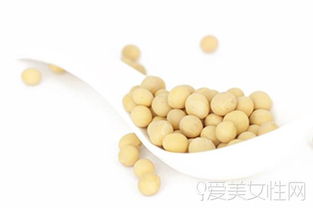 为什么豆类植物比其他植物富含更多的蛋白质？