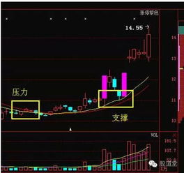 为什么均线可以成为股价的支撑位?