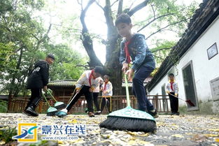 古银杏下好少年