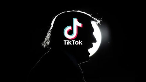 TikTok ads开户，TikTok ads广告投放_小白到大牛运营tiktok视频营销