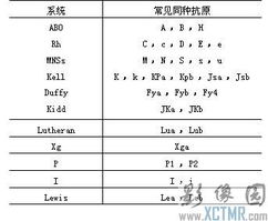 血型 blood group