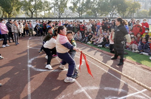 苏州市平江实验学校分校 毽 康活力 绳 彩飞扬