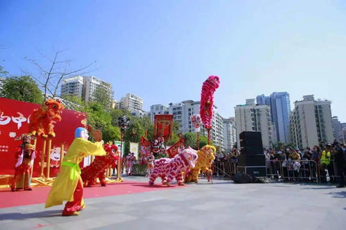 我在深圳过大年 坐标南山 群狮 共舞闹新春