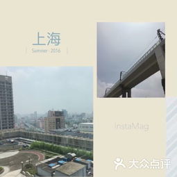 中宏保险公司是什么样的保险公司(中宏保险上海市营业厅)