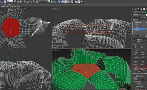 3dmax花瓣建模教程(maya建模怎么制作花瓣)