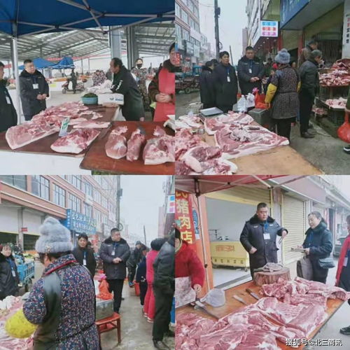 亳州市 蒙城县开展打击生猪私屠滥宰专项整治行动