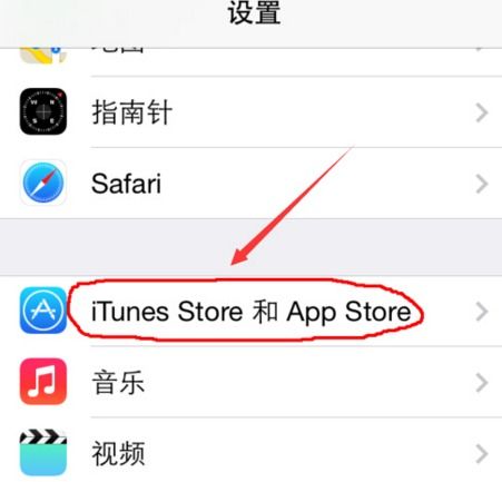 苹果手机下软件的怎么是英文 我想设置为中文怎么设置 