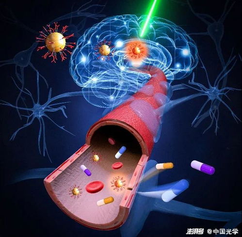 用光打开血脑屏障 脑部给药的新方法