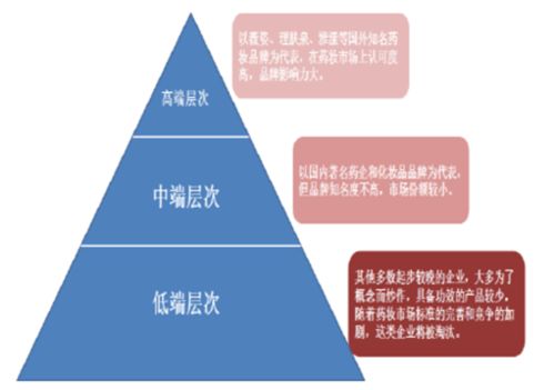 中国功效护肤市场研究分析报告