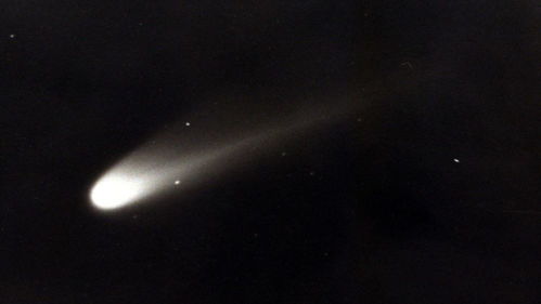 哈雷彗星是怎样发现的 米粒分享网 Mi6fx Com