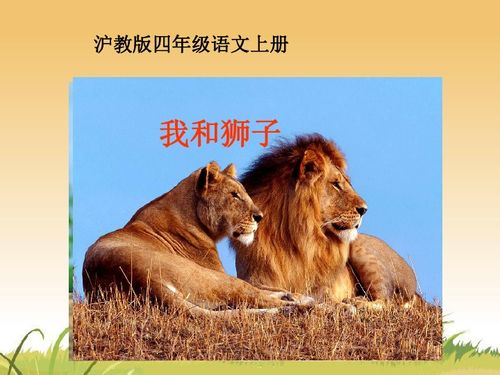 沪教版四年级语文上册 我和狮子 